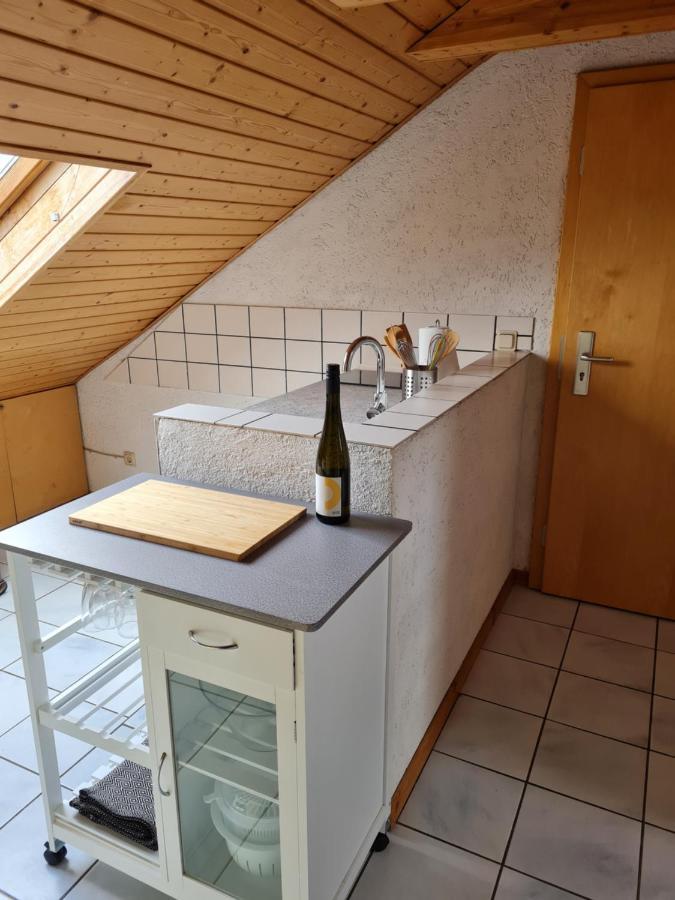 Chagall - Helles Und Gemuetliches Appartement Nahe Der Historischen Altstadt Mainz Kültér fotó